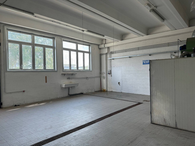 Capannone in affitto a Santa Croce sull'Arno