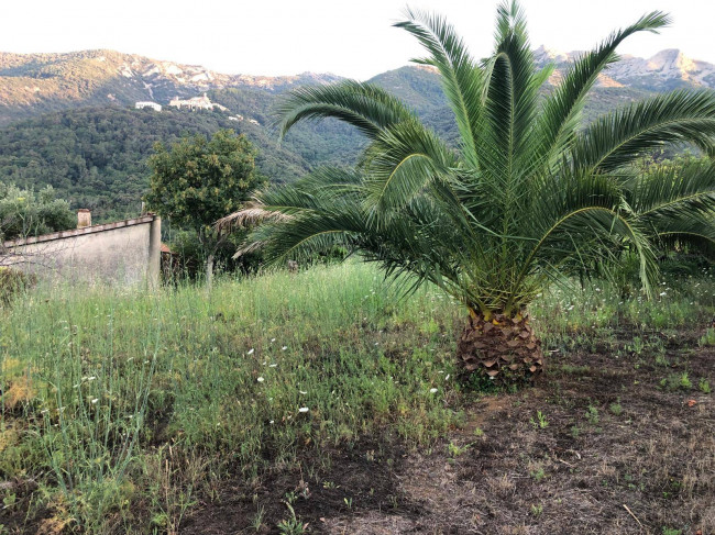 Casa semi-indipendente in vendita a Marciana (LI)