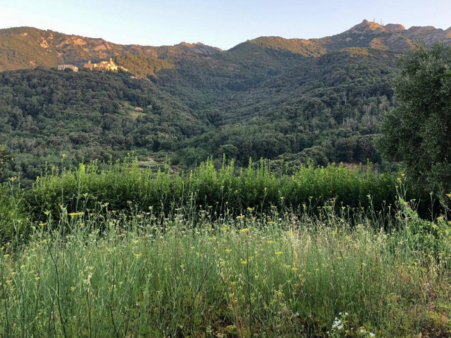 Casa semi-indipendente in vendita a Marciana (LI)