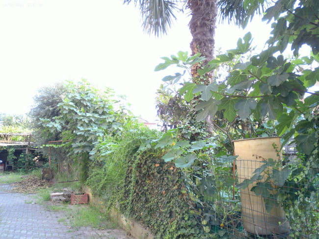 Casa indipendente in vendita a Torino