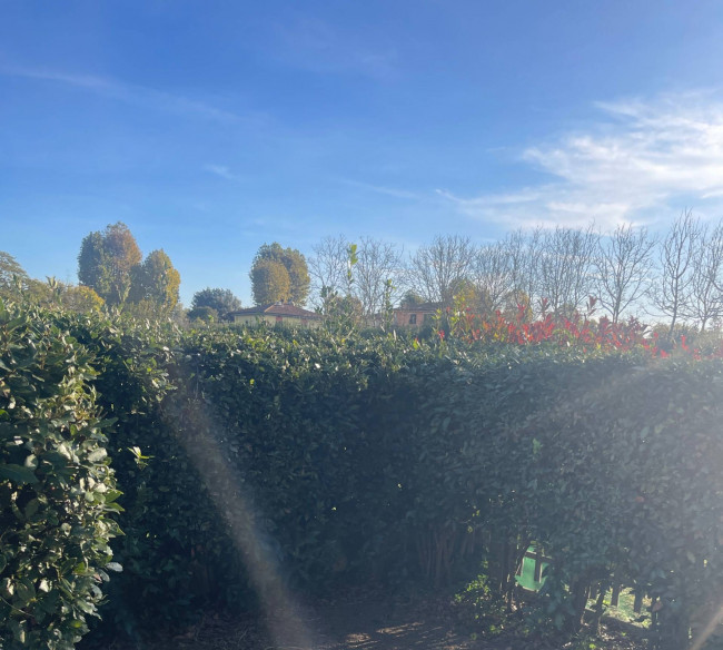 Appartamento in affitto a Fucecchio