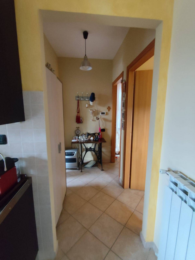 Appartamento in affitto a Peccioli