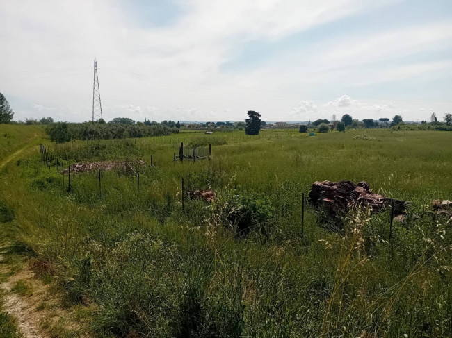 Terreno Agricolo in vendita a San Miniato