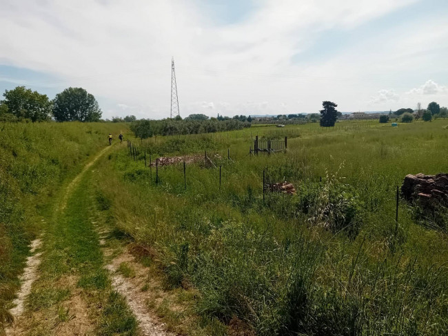 Terreno Agricolo in vendita a San Miniato
