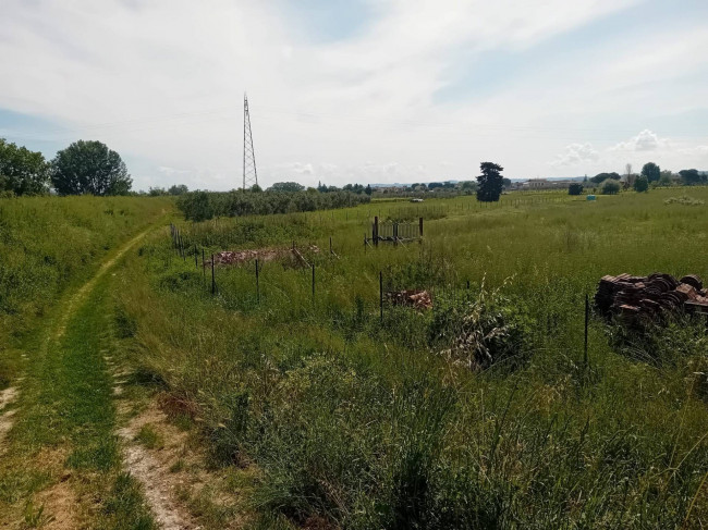 Terreno Agricolo in vendita a San Miniato