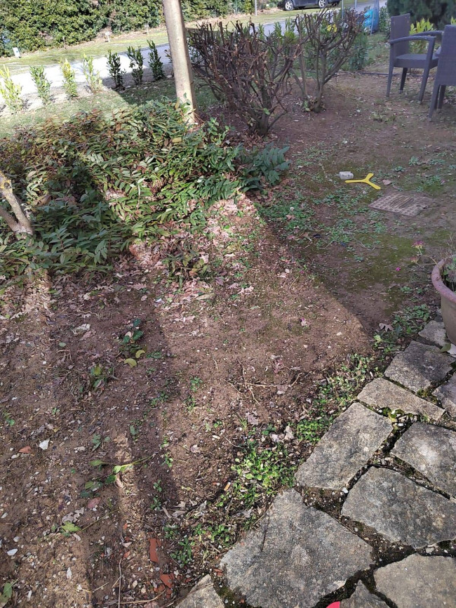 Appartamento in affitto a Montaione