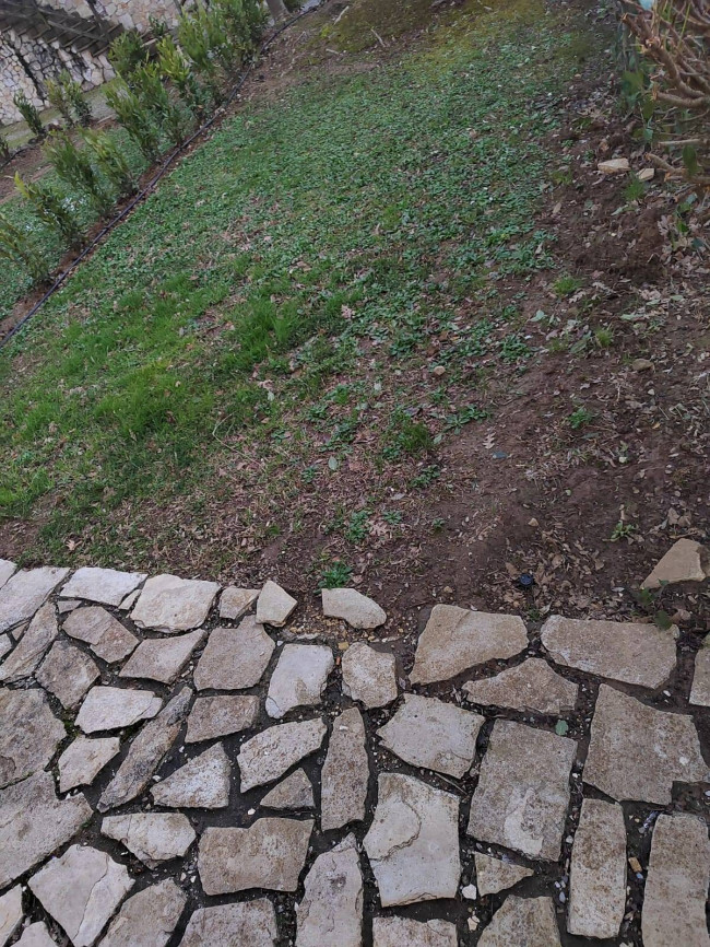 Appartamento in affitto a Montaione