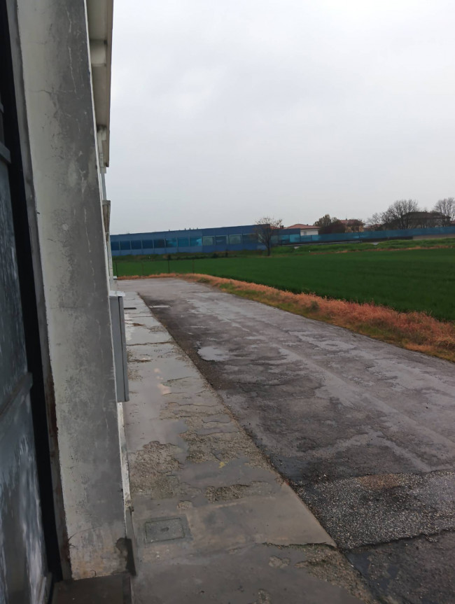 Capannone in affitto a San Mauro Pascoli