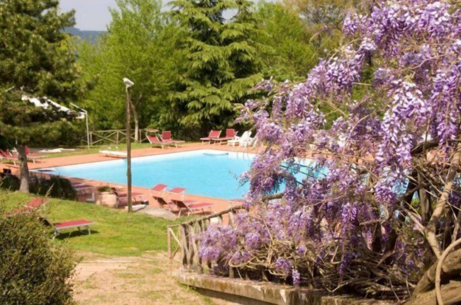 Attività/licenza in affitto a Grosseto