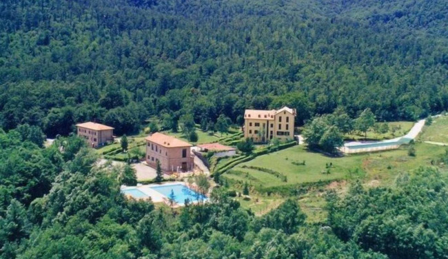 Attività/licenza in affitto a Roccastrada