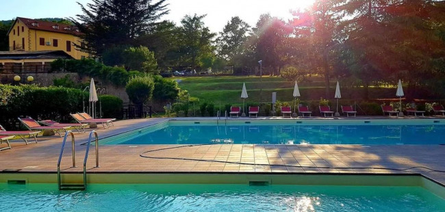 Attività/licenza in affitto a Roccastrada