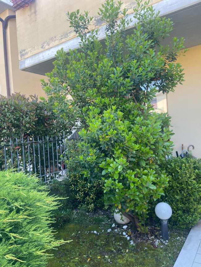 Appartamento in vendita a Fucecchio