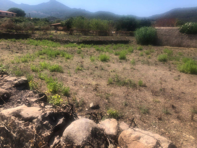 Terreno in vendita a Marciana Marina