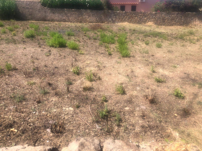 Terreno in vendita a Marciana Marina