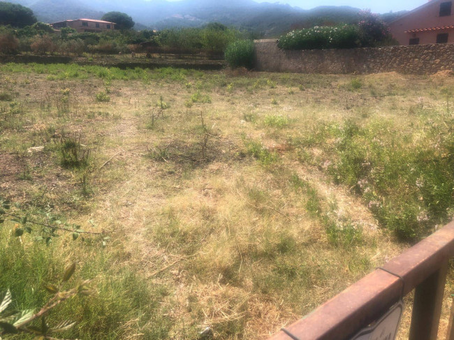 Terreno in vendita a Marciana Marina