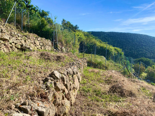 Casa indipendente in vendita a Marciana