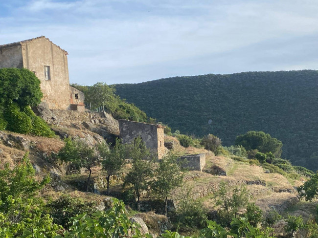 Casa indipendente in vendita a Marciana