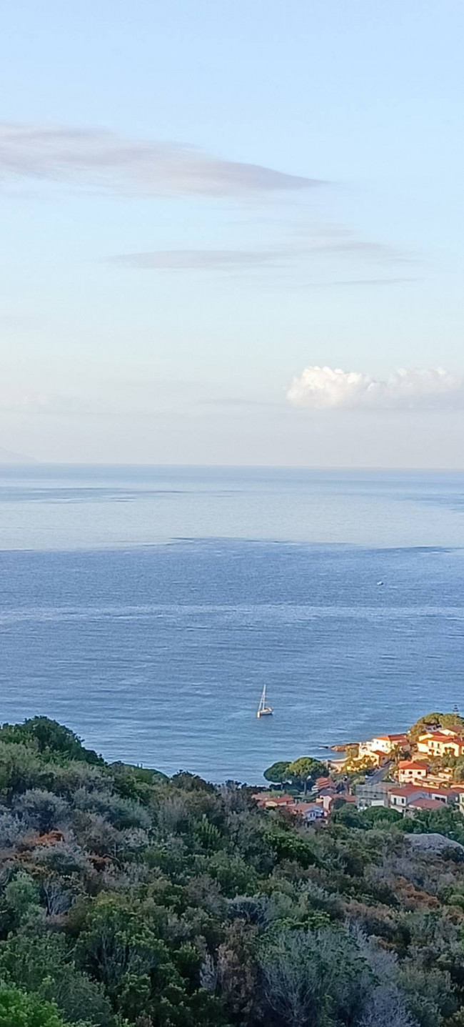 Appartamento in affitto a Campo nell'Elba