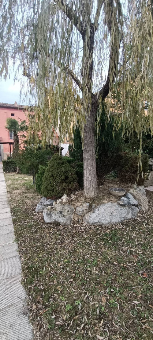 Appartamento in vendita a Empoli