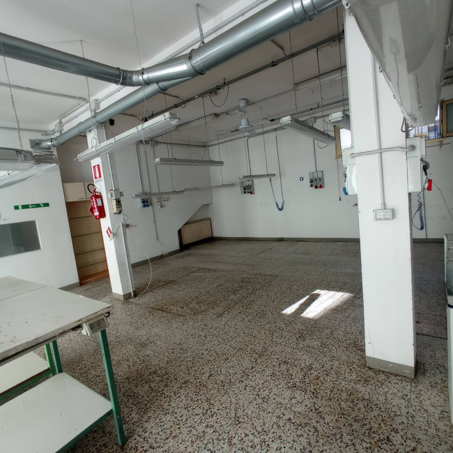 Fondo Artigianale in affitto a Vinci