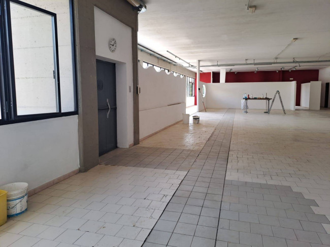 Fondo Artigianale in affitto a Vinci
