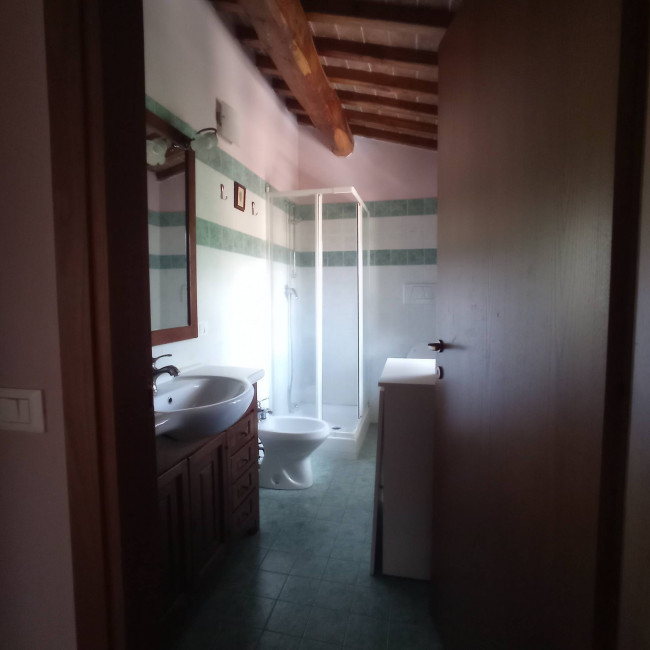 Appartamento in affitto a Capraia e Limite