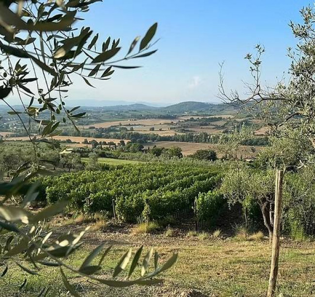 Attività/licenza in vendita a Empoli