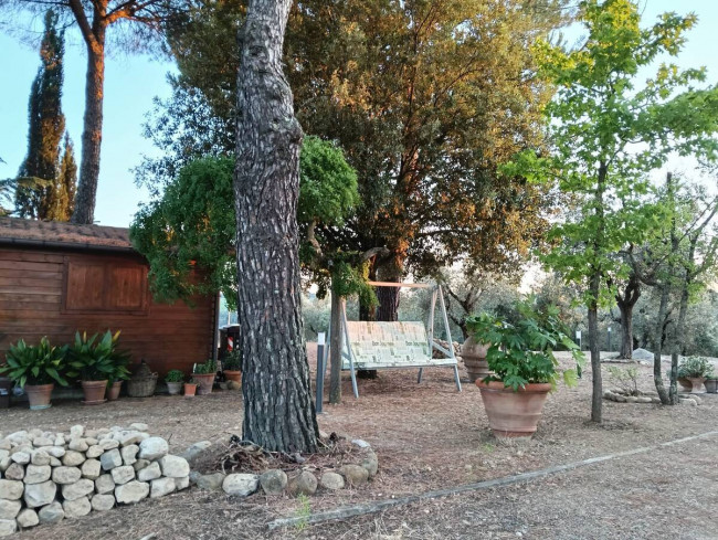 Appartamento in affitto a Montelupo Fiorentino