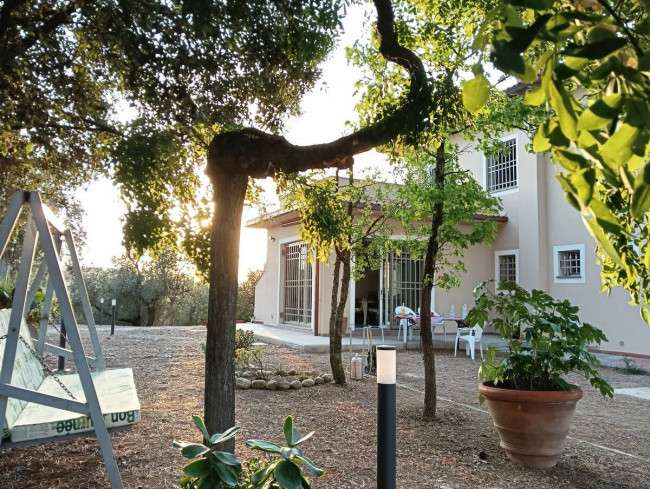 Appartamento in affitto a Montelupo Fiorentino