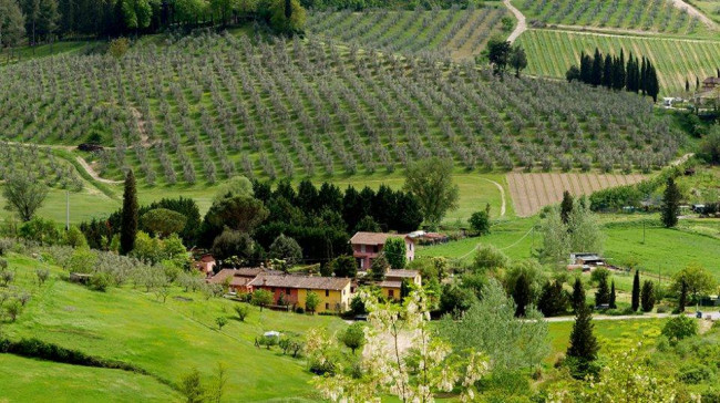 Villa in vendita a San Miniato