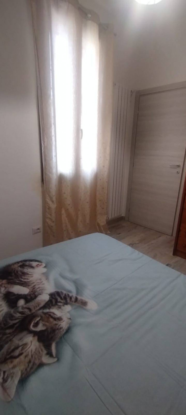 Appartamento in affitto a Montelupo Fiorentino