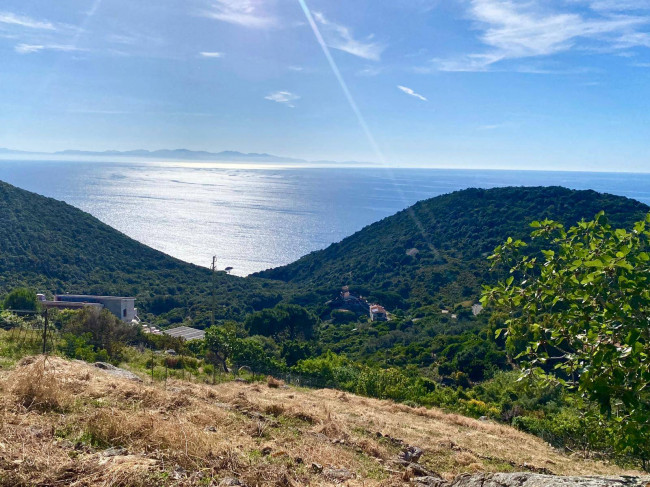 Lotto in vendita a Marciana