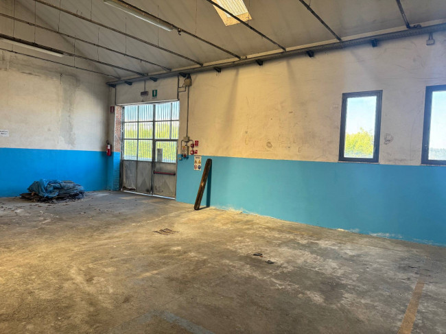 Capannone in affitto a Santa Croce sull'Arno