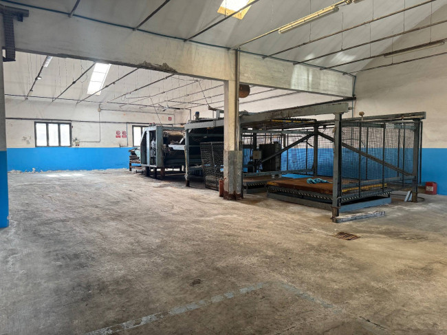 Capannone in affitto a Santa Croce sull'Arno