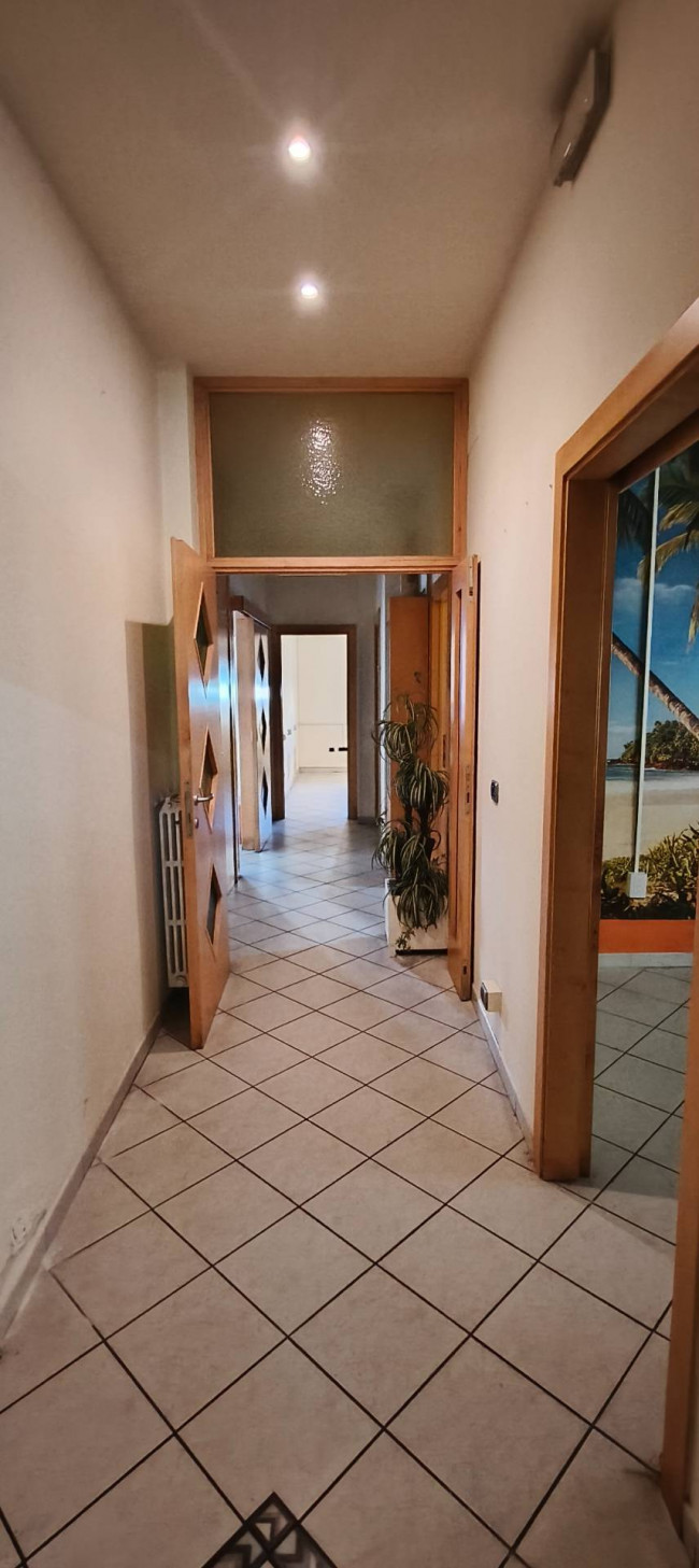 Fondo Commerciale in affitto a Vinci