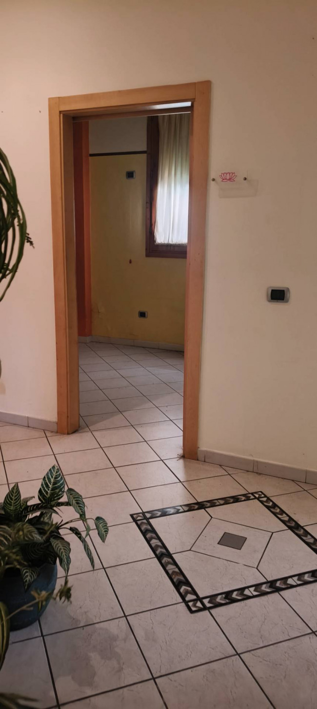 Fondo Commerciale in affitto a Vinci