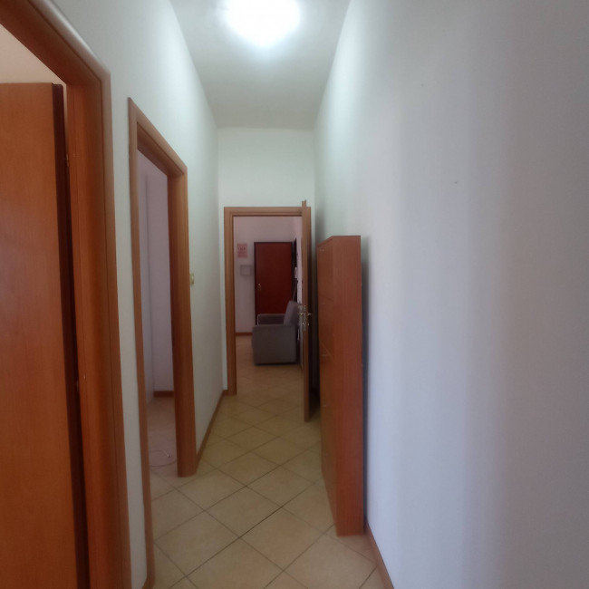 Appartamento in affitto a Santa Croce sull'Arno