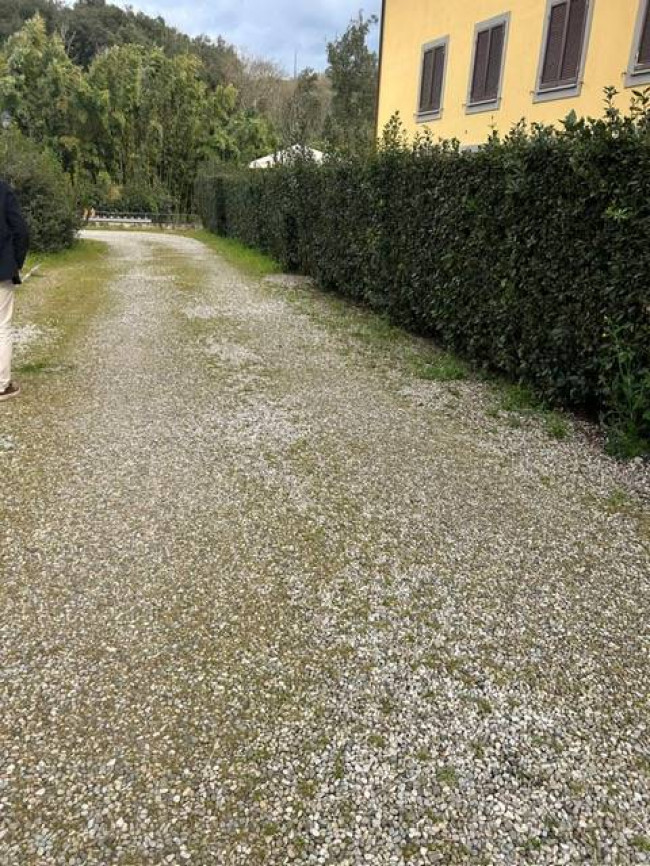 Appartamento in affitto a Montelupo Fiorentino