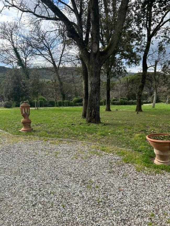 Appartamento in affitto a Montelupo Fiorentino