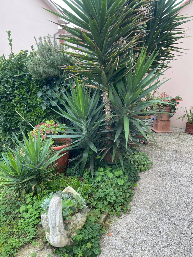 Appartamento in affitto a San Miniato