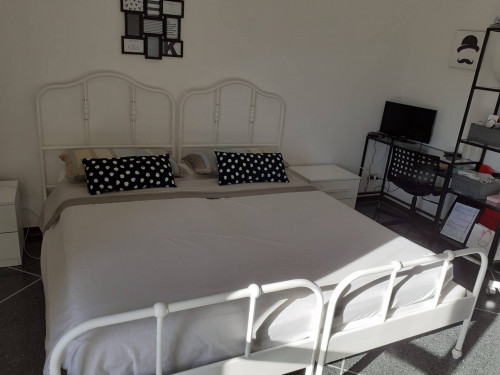 Appartamento in affitto a Bologna