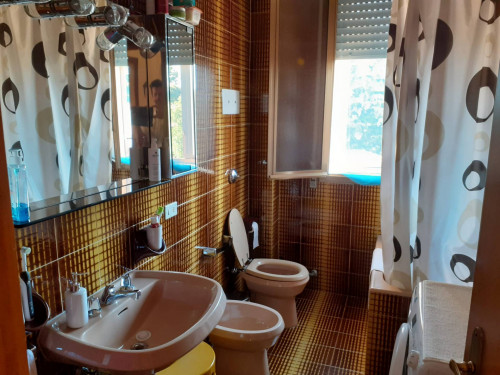 Appartamento in affitto a Bologna