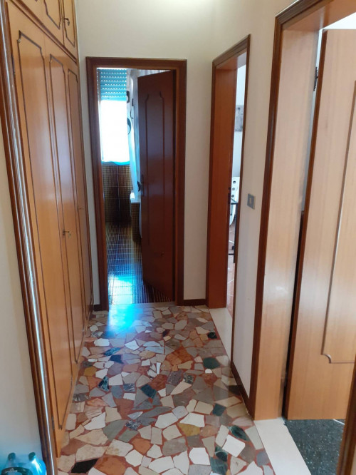 Appartamento in affitto a Bologna