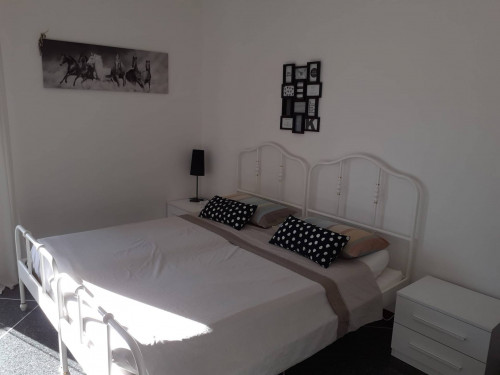 Appartamento in affitto a Bologna