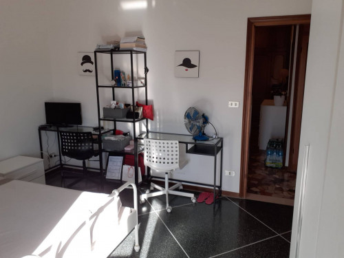 Appartamento in affitto a Bologna