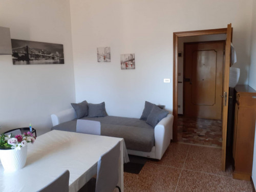 Appartamento in affitto a Bologna