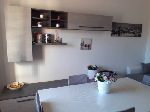 Appartamento in affitto a Bologna