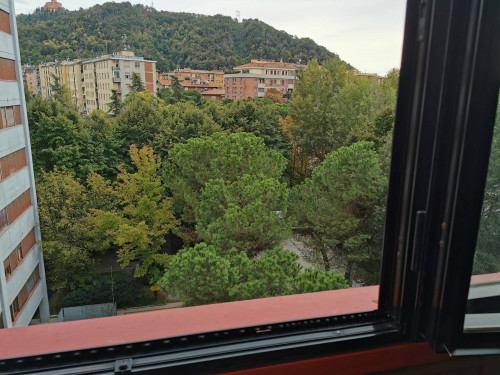 Appartamento in affitto a Bologna