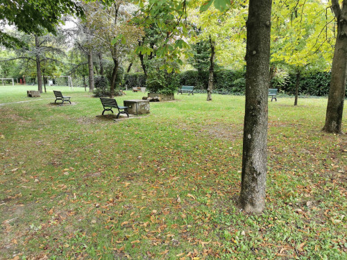 Appartamento in affitto a Bologna