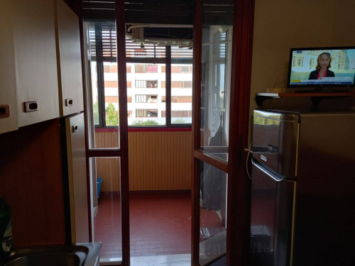 Appartamento in affitto a Bologna